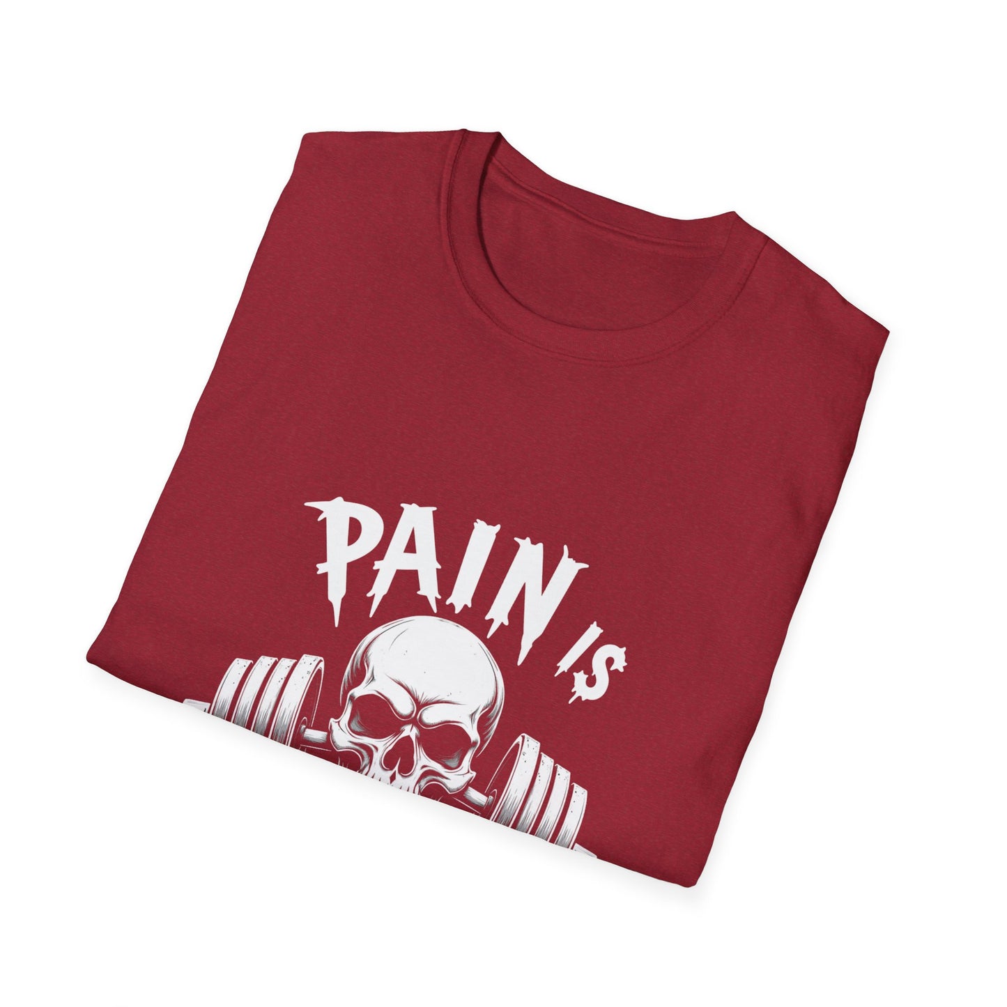 Pain Is Temporary. T-Shirt